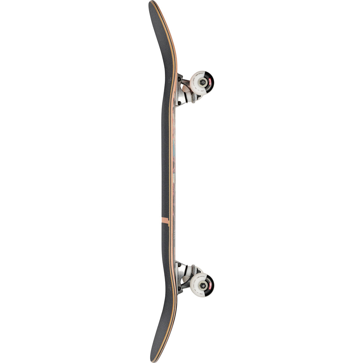 Globe - G1 Visitation Terra Bay 8.25 Complete Skateboard.