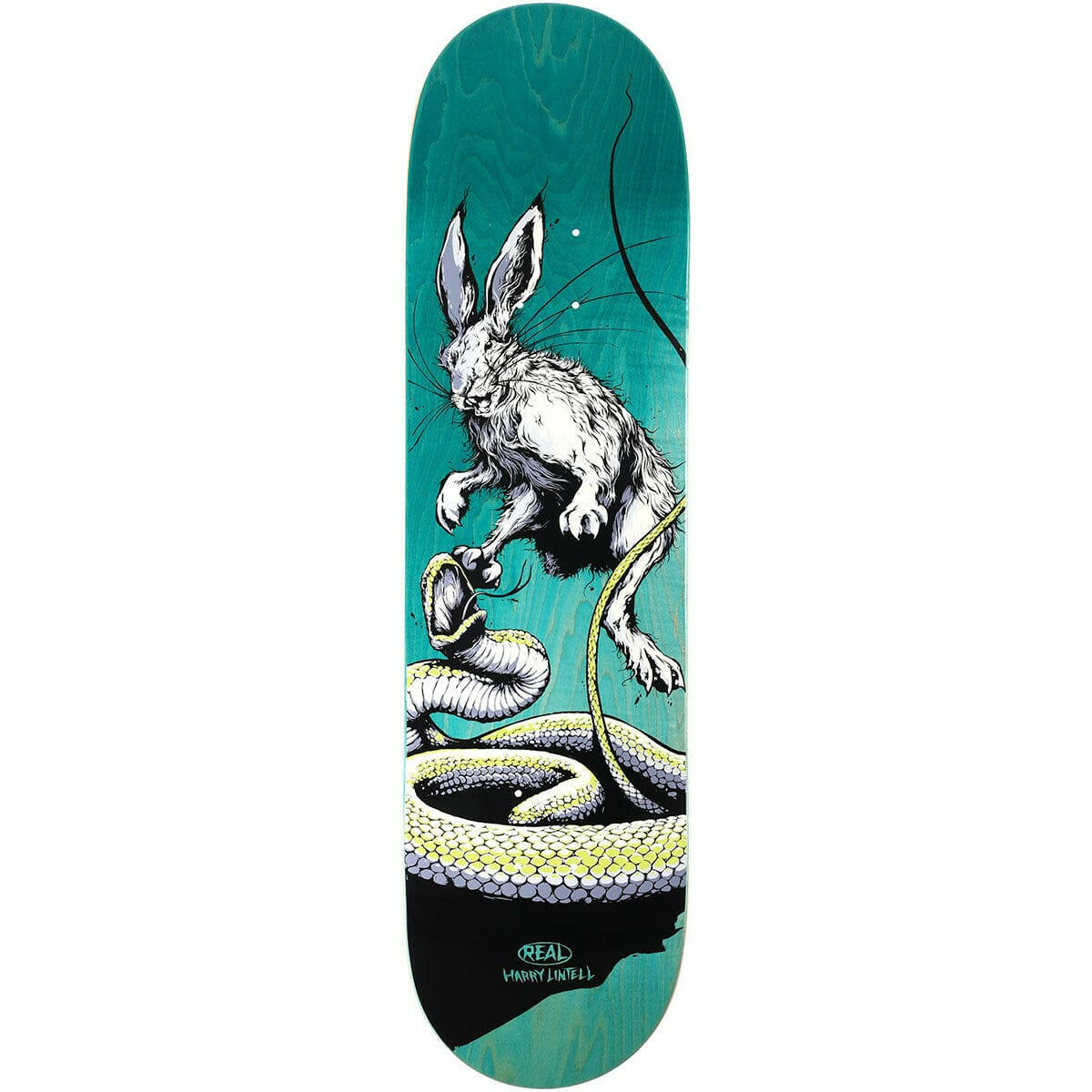 Real - Harry Lintell Prey 8.4 Skateboard Deck.