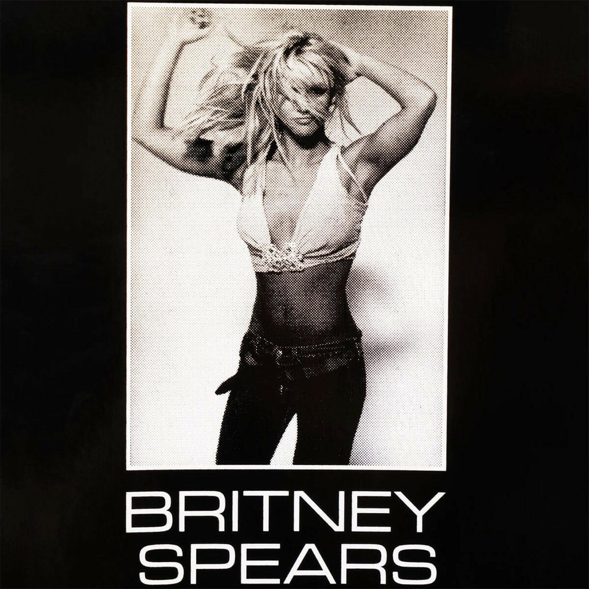 Welcome - Britney Spears Snake 8.5 Skateboard Deck.