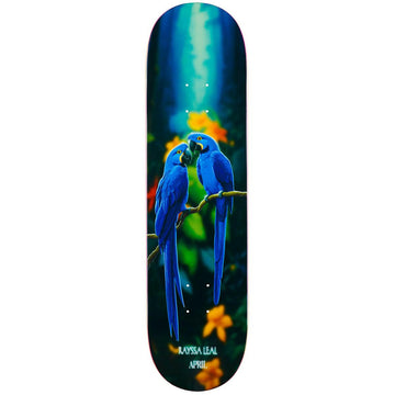 April - Rayssa Leal Blue Macaw 8.25 Skateboard Deck.