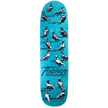 Anti Hero - Austin Kanfoush Dawn Of The Pigeon 8.55 Skateboard Deck.