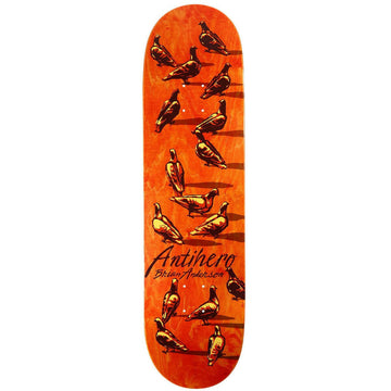 Anti Hero - BA Dawn Of The Pigeon 8.88 Skateboard Deck.