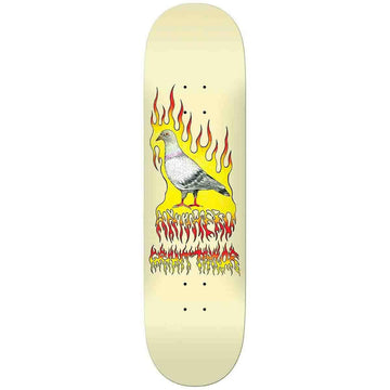 Anti Hero - Grant Taylor Pigeon Vision 8.5 Skateboard Deck.
