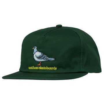 Anti Hero - Lil Pigeon Snapback Forest Green.