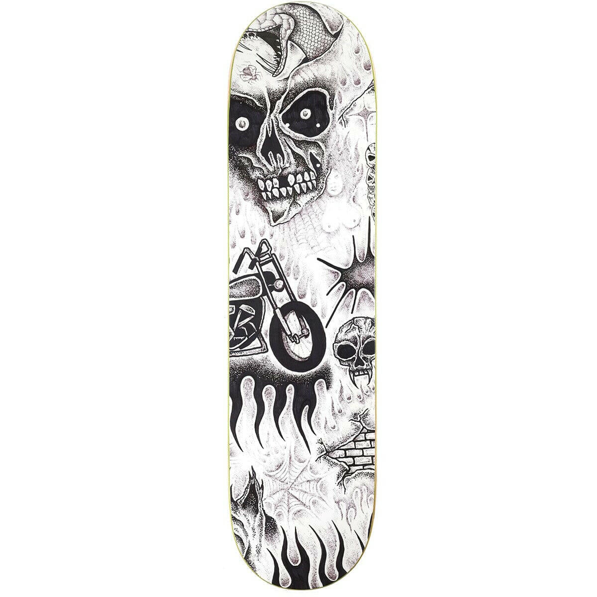 Baker - Sammy Baca Tryptic 8.0 Skateboard Deck.