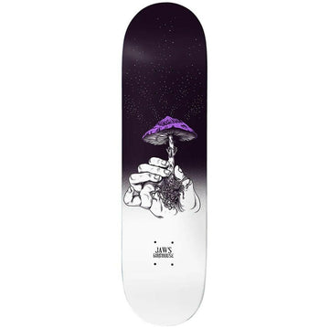 Birdhouse - Jaws Teacher 8.25 Skateboard Deck.