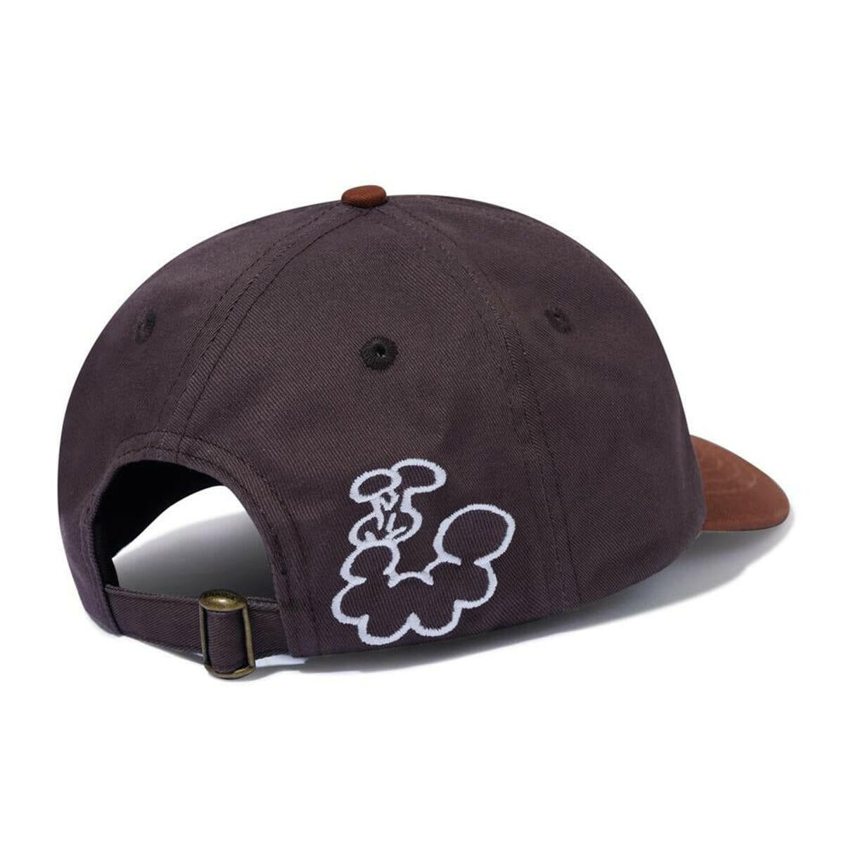 Butter Goods - Bugs 6 Panel Cap Redwood/Rust.