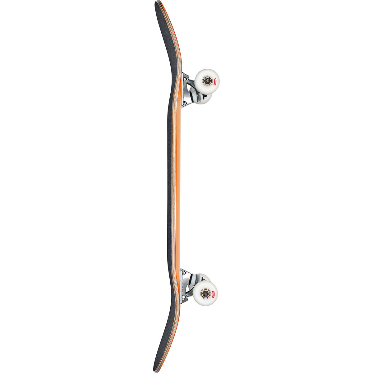 Globe Goodstock Firecracker 8.0 Complete Skateboard Side