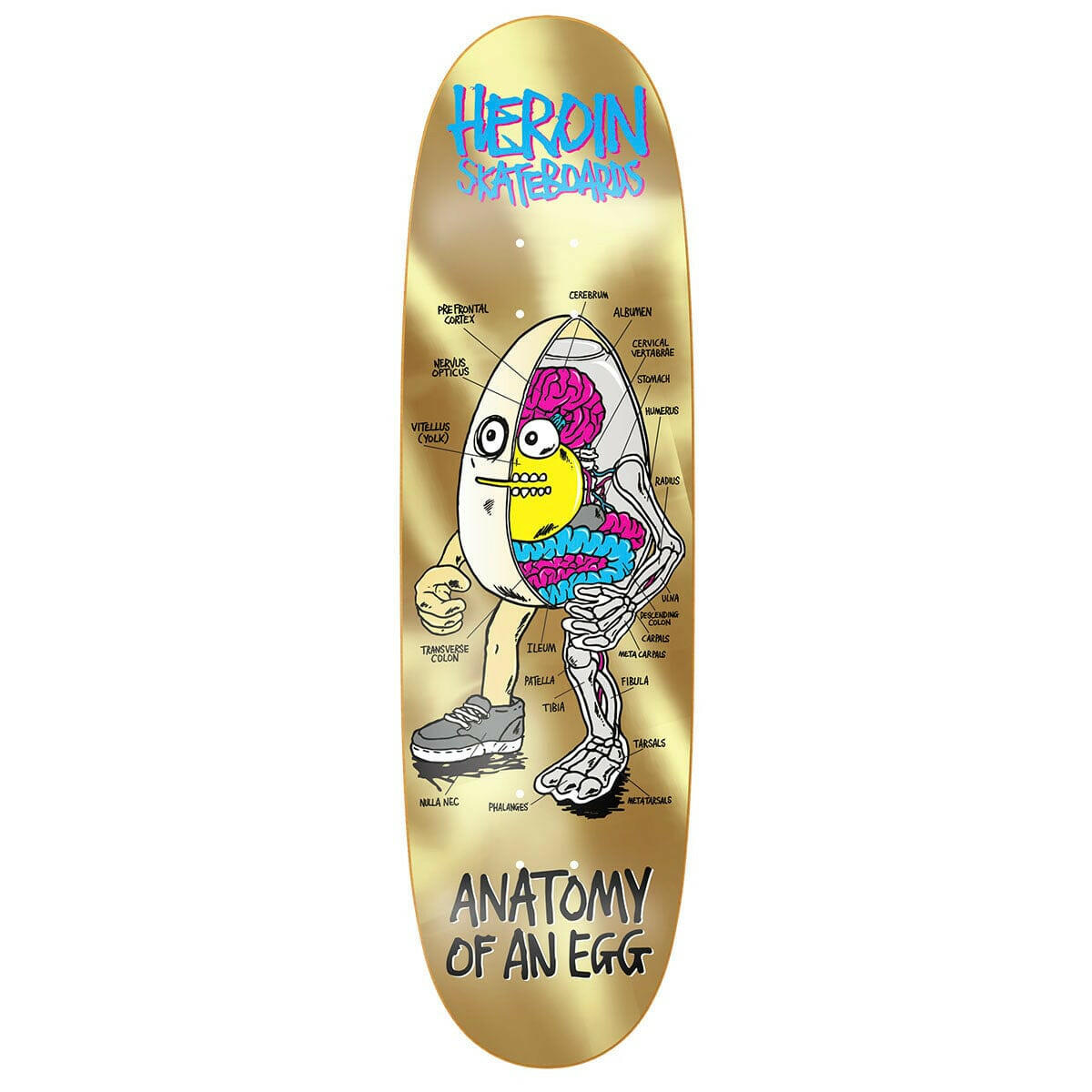Heroin - Anatomy Of An Egg 8.75 Skateboard Deck.