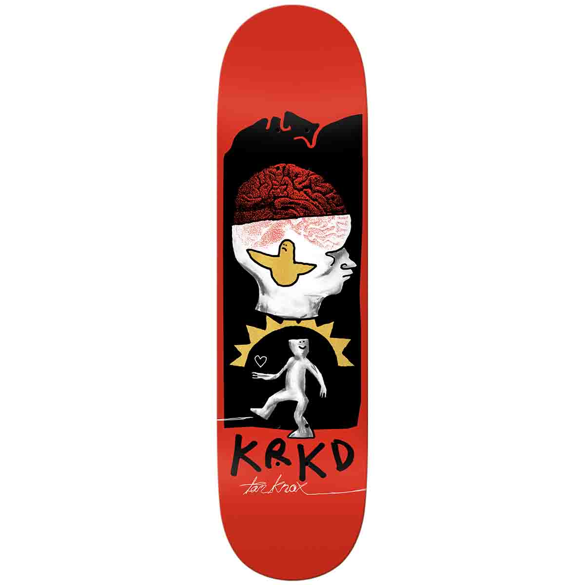 Krooked Tom Knox Brain & Bird 8.5 Skateboard Deck
