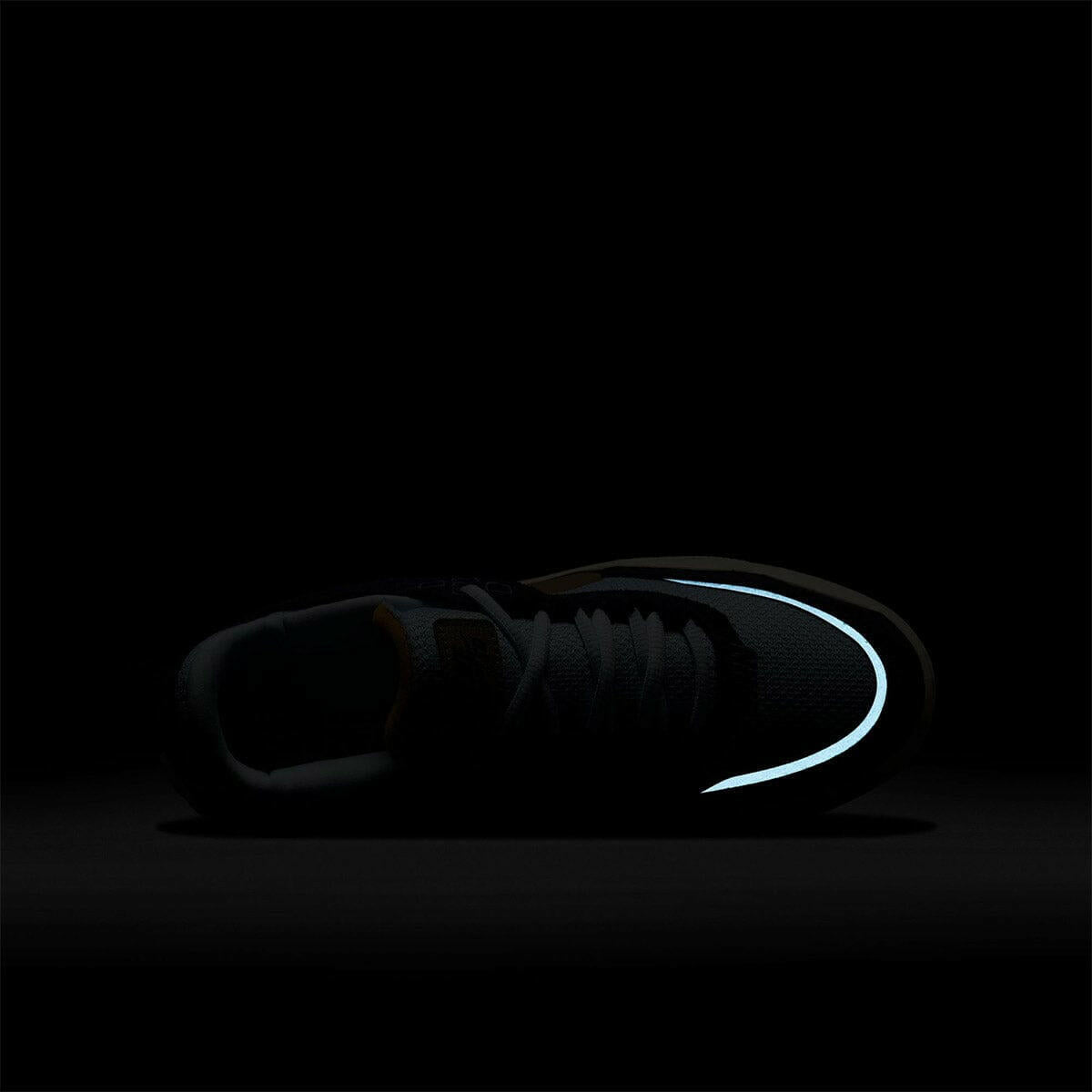 Nike SB - Day One Youth Shoes Thunder Blue/Khaki.