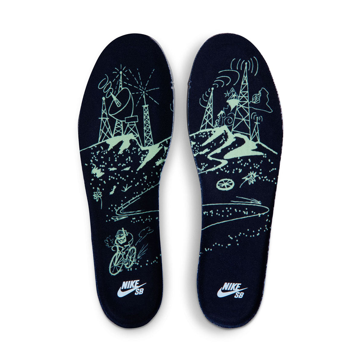 Nike SB Dunk Low Pro Shoes Verdugo Mountain.