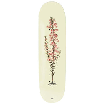 Pass~Port Callum Paul Pink Health Reissue 8.25 Skateboard Deck