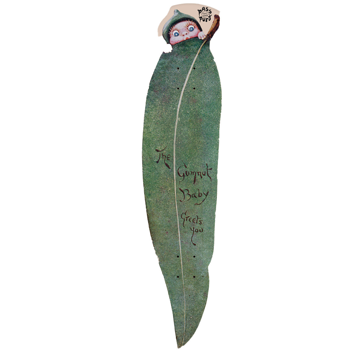 Pass~Port May Gibbs Gum Leaf Cruiser 8.0 Skateboard Deck