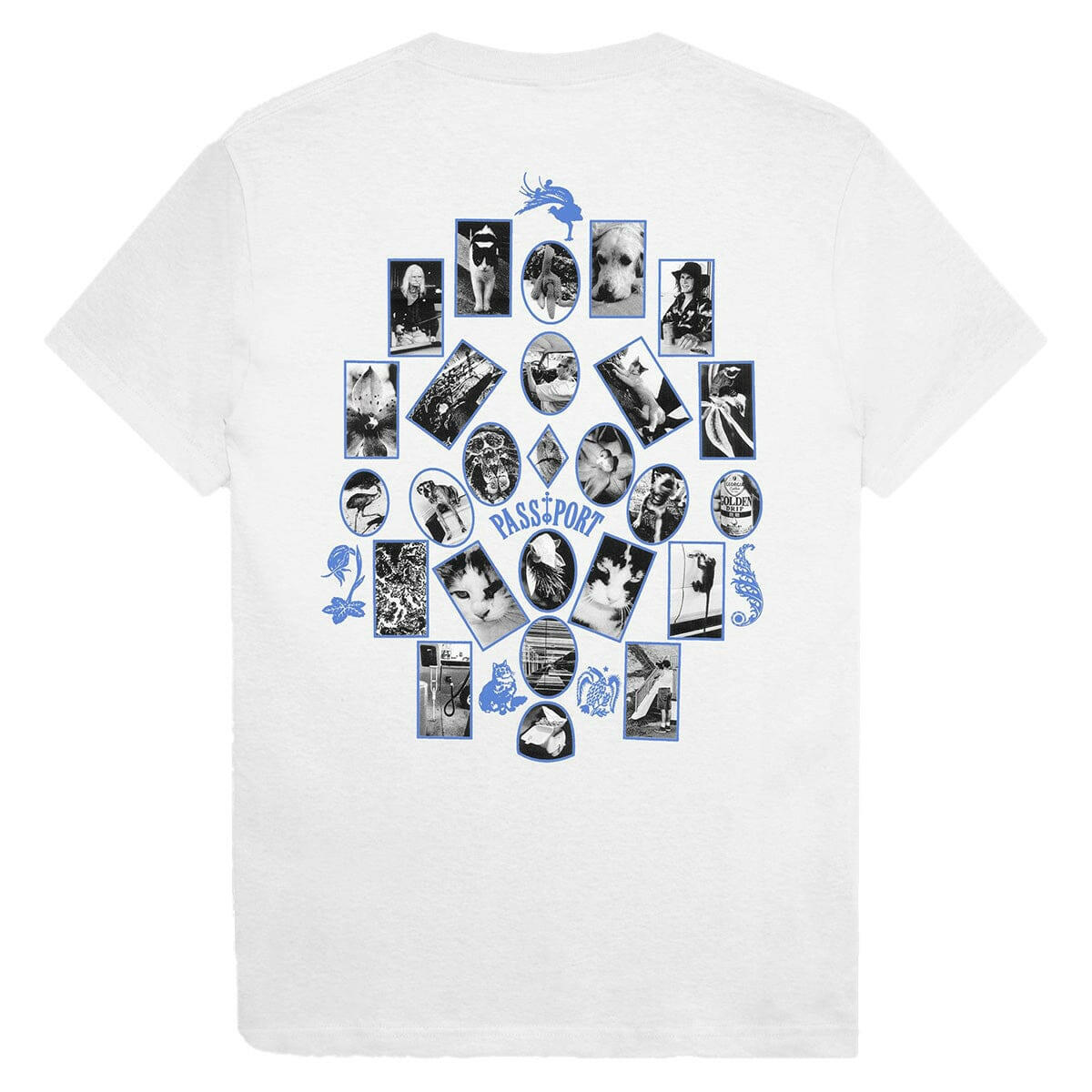 Pass~Port - Sophomore Tee White.