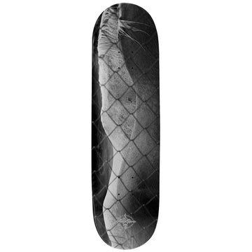 Pass~Port Steed 8.25 Skateboard Deck