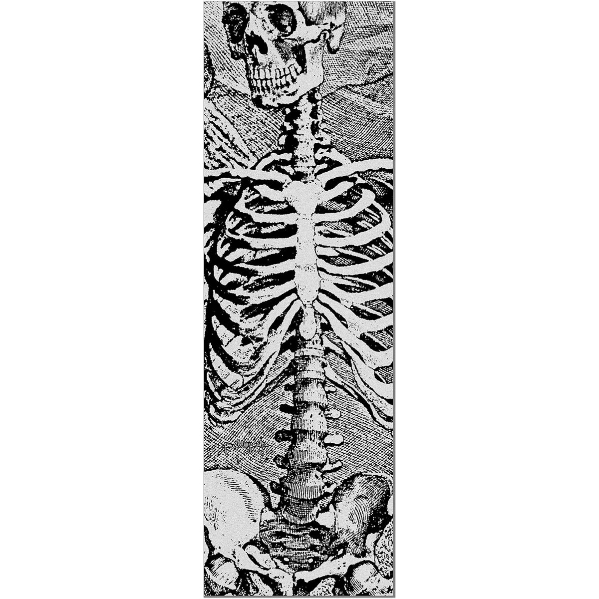 Powell Peralta Skull & Sword 10.5 Griptape Clear