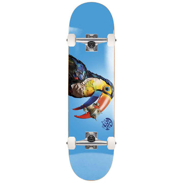Push Toucan 8.0 Complete Skateboard