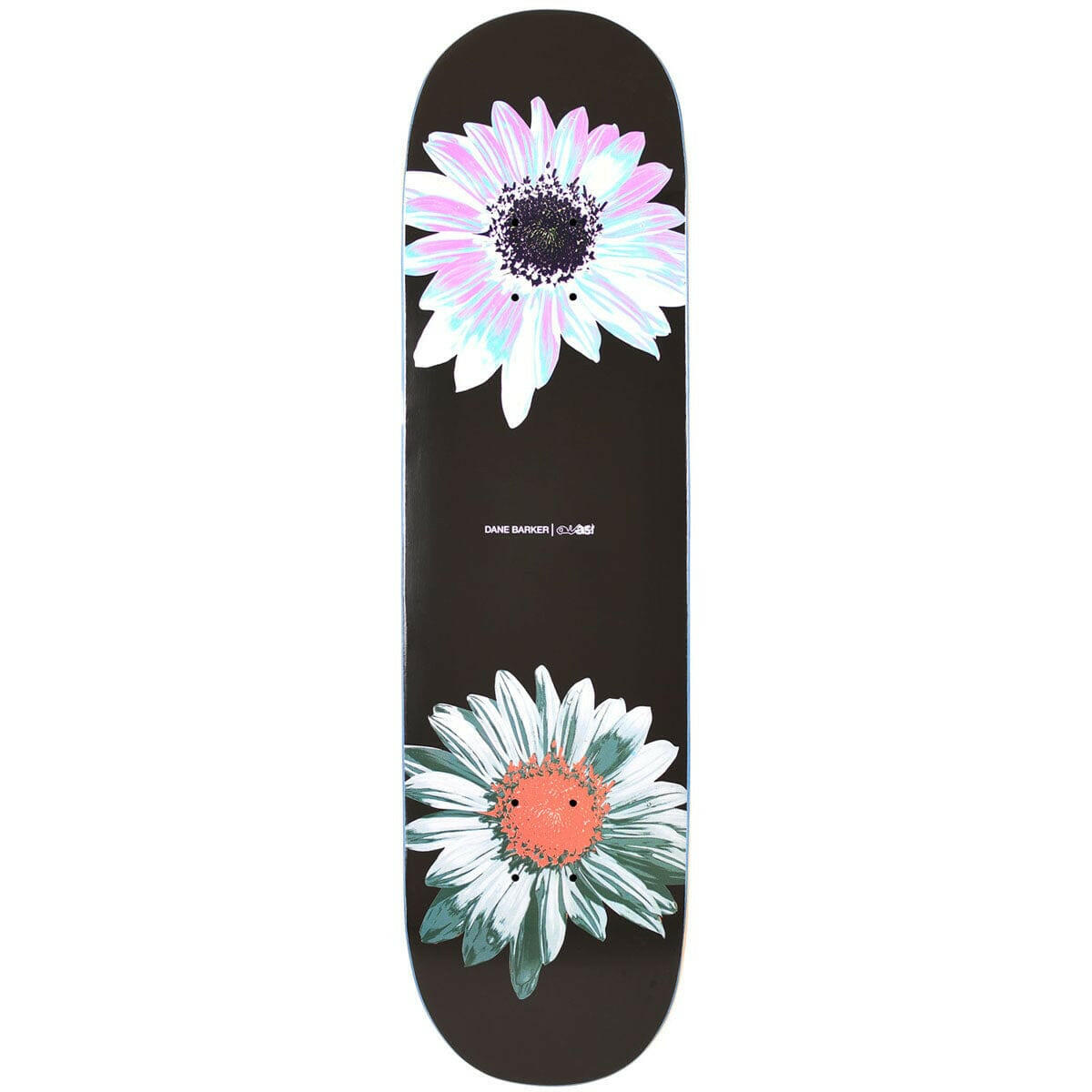 Quasi - Dane Barker Heavy Petal 8.125 Skateboard Deck.