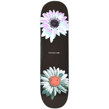 Quasi - Dane Barker Heavy Petal 8.125 Skateboard Deck.