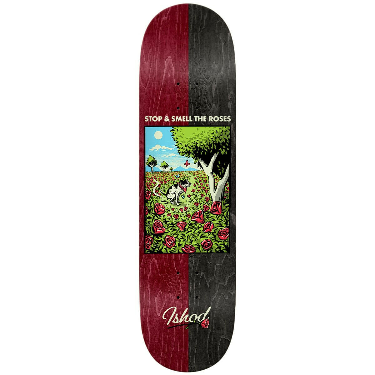 Real - Ishod Wair Bright Side 8.38 Skateboard Deck.