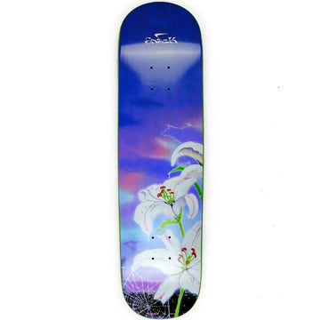 Snack - Web 8.0 Skateboard Deck.