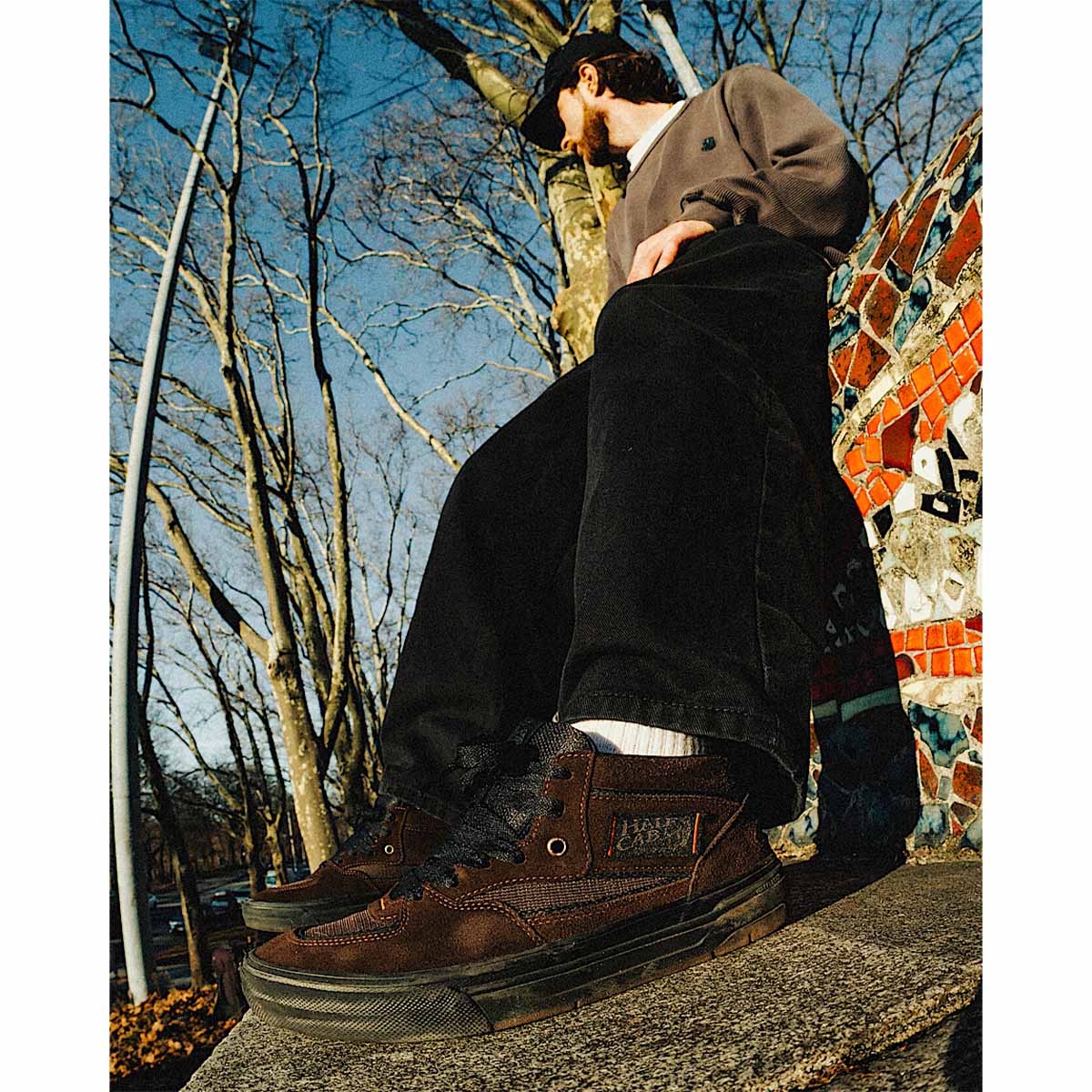 Vans Rizzo Skate Half Cab Wafflecup Shoes Brown/Black Model