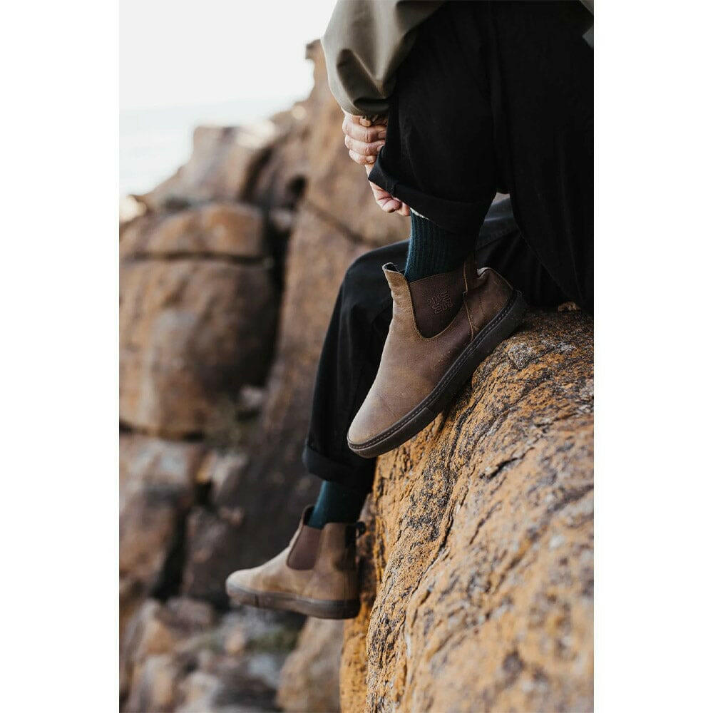 Globe - Dover II Shoes Dark Brown/Wasted Talent.