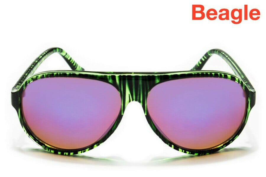 Happy Hour - Beagle El Dorado Sunglasses.